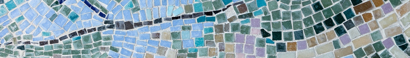 Ken Bolan | Nature Follows Form